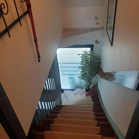 Apartment Kaiser